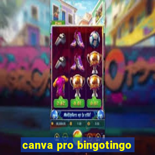 canva pro bingotingo